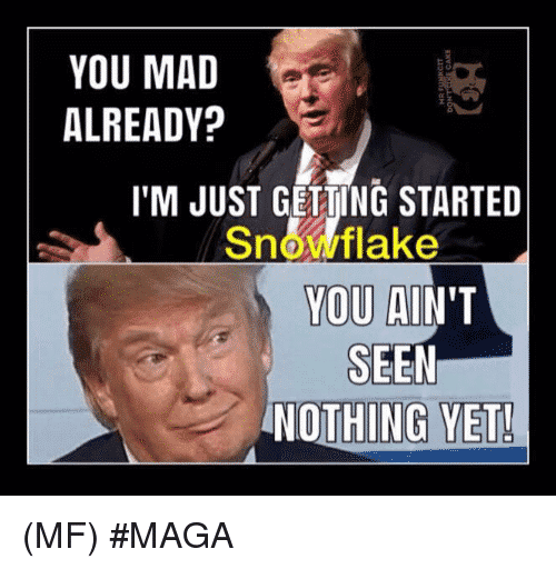 you-mad-already-im-just-getting-started-snoflake-you-aint-24231558 you-mad-already-im-just-getting-started-snoflake-you-aint-24231558